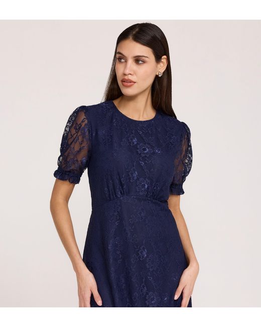 Finery London Blue Mela Lace Midi Dress