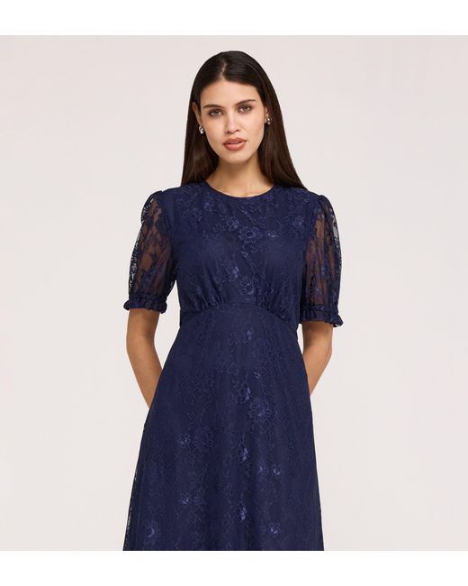 Finery London Blue Mela Lace Midi Dress