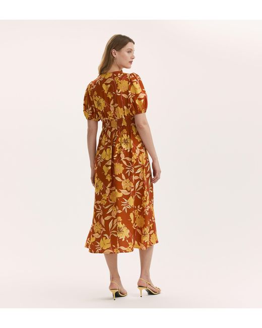 Finery London Multicolor Addison Button Through Midi Dress