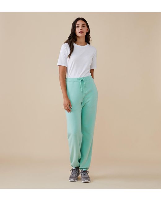 Finery London Blue Kali Jogger