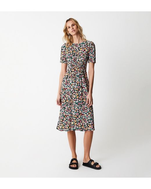 Finery London Multicolor Adelle Midi Dress