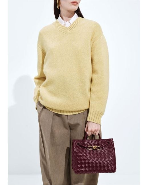 Bottega Veneta Purple Small Andiamo