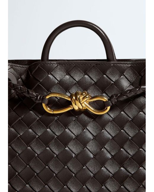 Bottega Veneta Black Small Andiamo