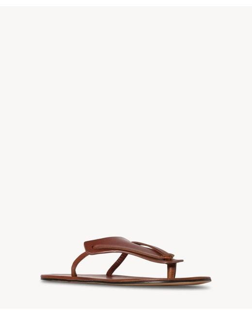 The Row Brown Helena Flip Flop In Leather