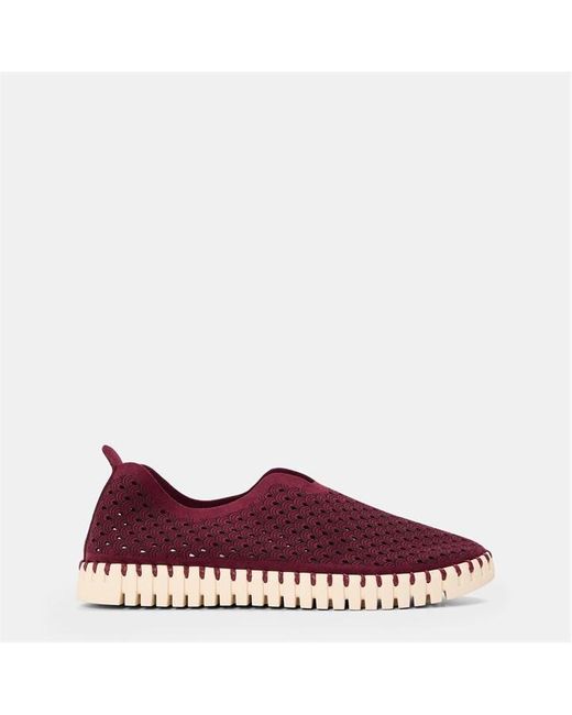 Ilse Jacobsen Purple Tulip Shoe
