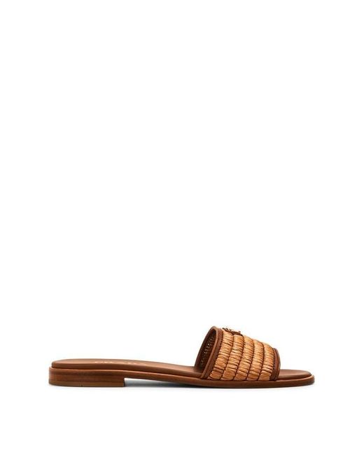 Prada Brown Flat Sandal