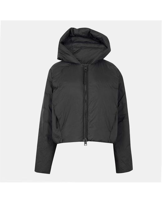 Canada Goose Blue Elba Insulated Water Resistant Cropped Short Puffer Jacket