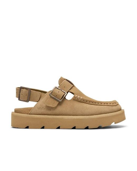 Clarks Brown Flat Sandals