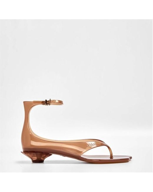 Chloé Brown Jelly Sndl
