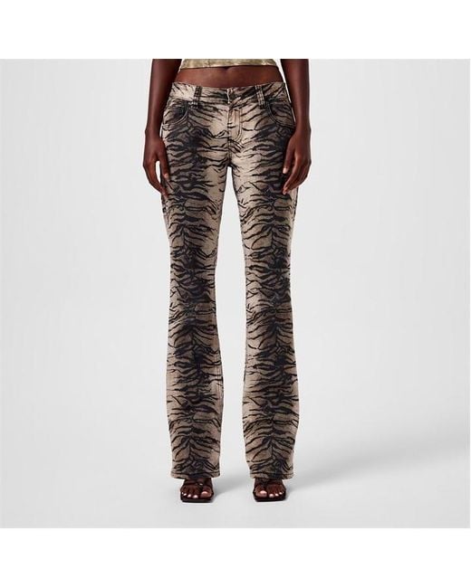 Jaded London Gray Jaded Tiger Bootcut Ld43