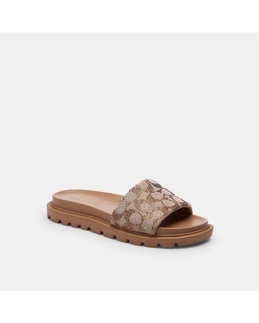 COACH Brown Brynn Slide Sandal In Crystal Signature Jacquard