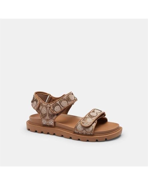 COACH Brown Brynn Sandal In Crystal Signature Jacquard