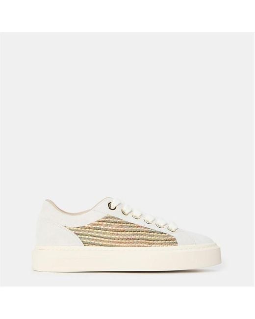 Cleens Natural Ace Sneakers for men