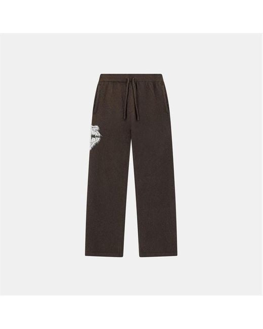 The Couture Club Brown Fluffy Knit Joggers for men