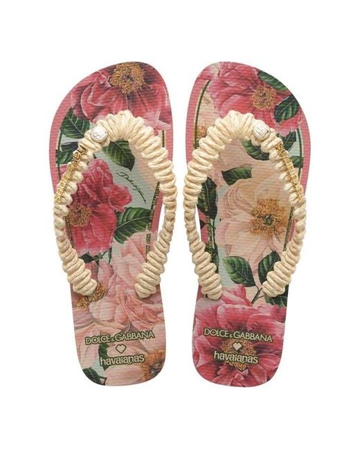 DOLCE & GABBANA X HAVAIANAS Pink Botanical Flip Flops