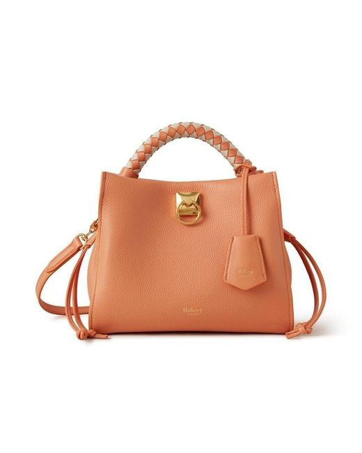 Mulberry Brown Small Iris