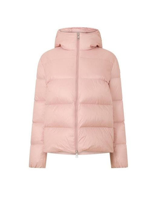 Moncler Pink Feligule Jkt Ld64
