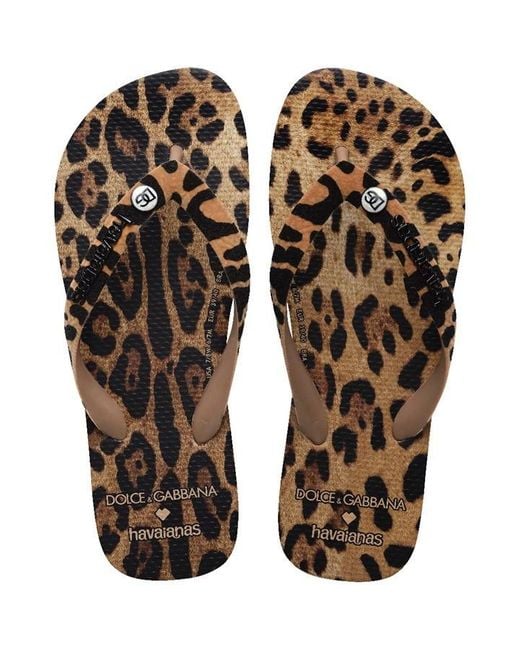 Havaianas Black X Dolce And Gabbana Leopard Flip Flops