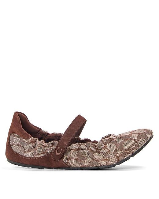 COACH Brown Ballet Pumps