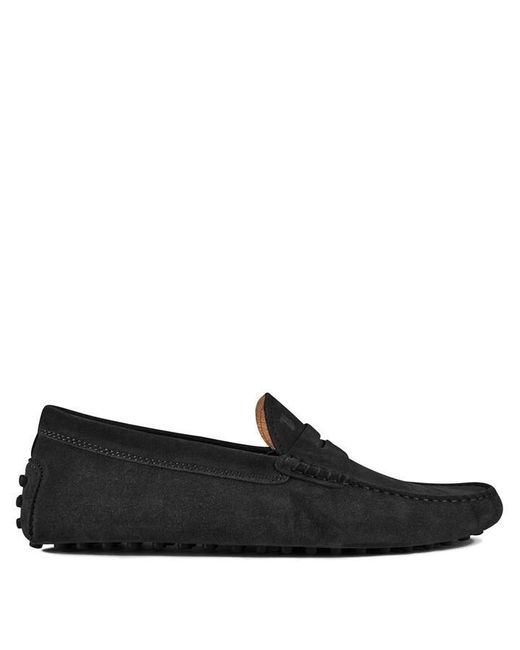 Tod's Black Gommino Suede Loafers for men