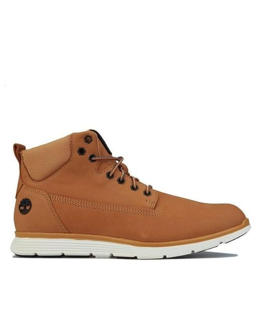 Timberland Brown Killington Chukka Boots for men