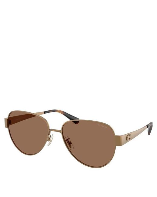 COACH Brown 0Hc7186 Round Sunglasses