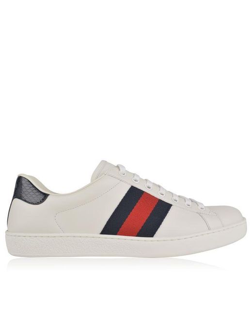 gucci new ace web trainers