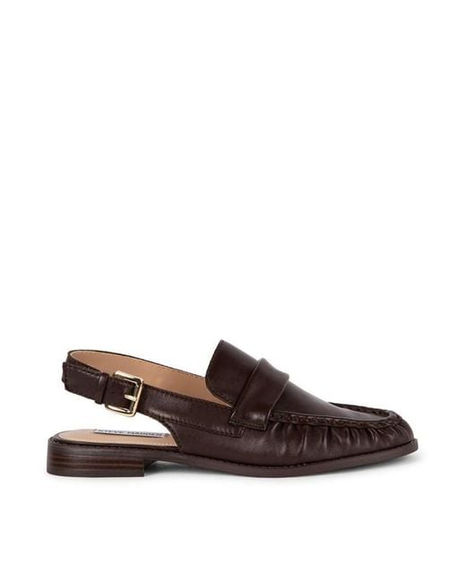 Steve Madden Brown Reeves