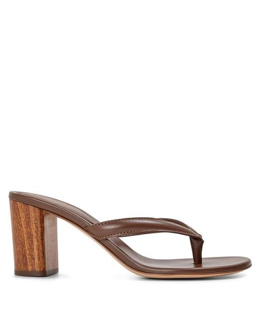 Gianvito Rossi Brown Flipflop 70H Flip Flops