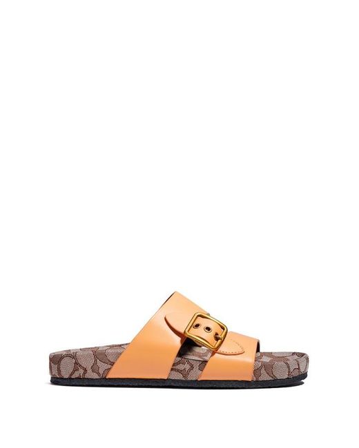 COACH Brown Addison Sandals