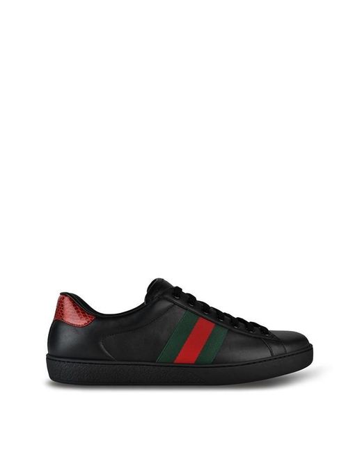 Gucci Blue New Ace Web Trainers for men