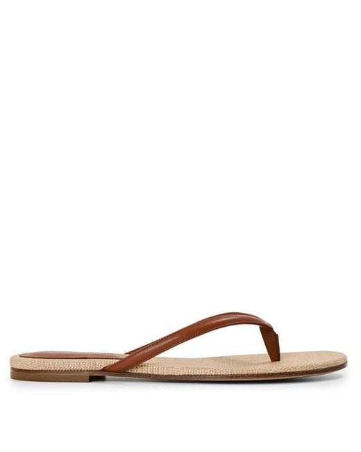 Gianvito Rossi Brown Calypso Flip Flops