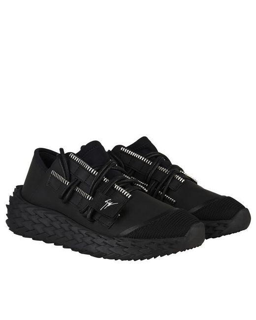 urchin giuseppe zanotti