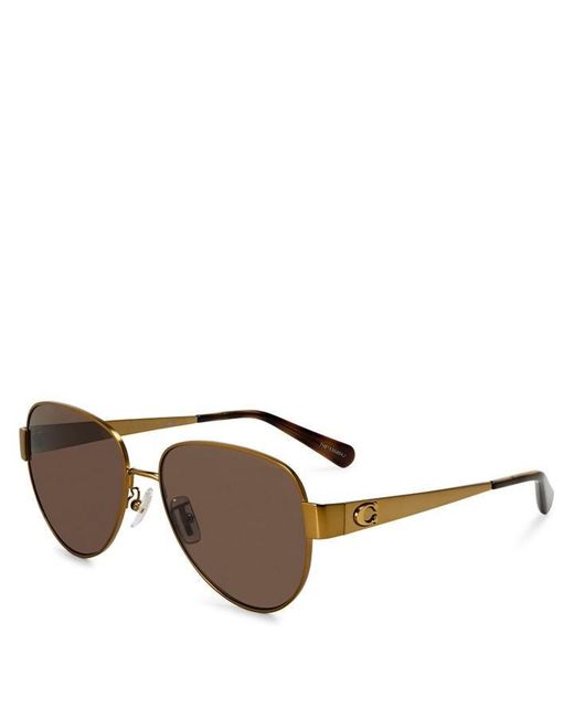 COACH Brown 0Hc7186 Round Sunglasses