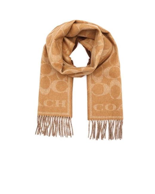 COACH Brown Revrs Muffler 99