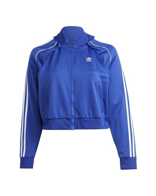 Adidas Originals Blue Plus Size Cropped Track Jacket