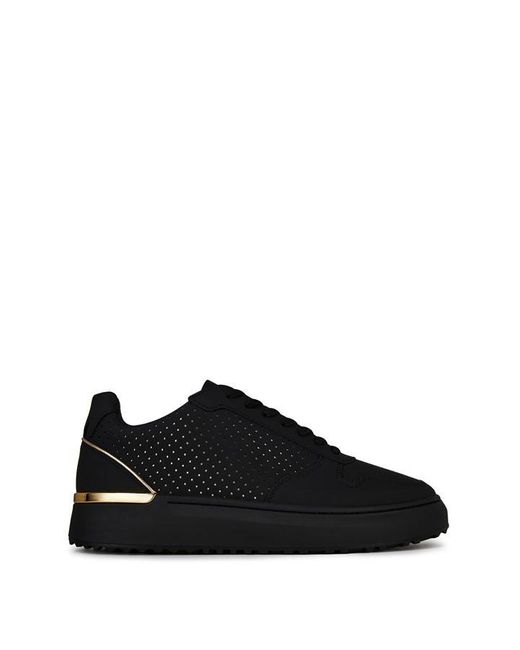Mallet Black Hoxton 2.0 Gold Perforated for men