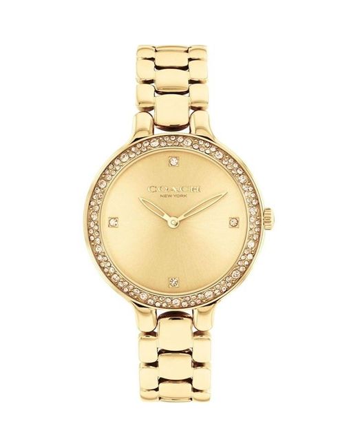 COACH Metallic Chelsea Gold Ip Watch