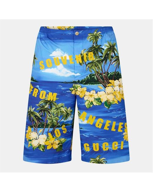 Gucci Blue Bermuda Chino Shorts for men