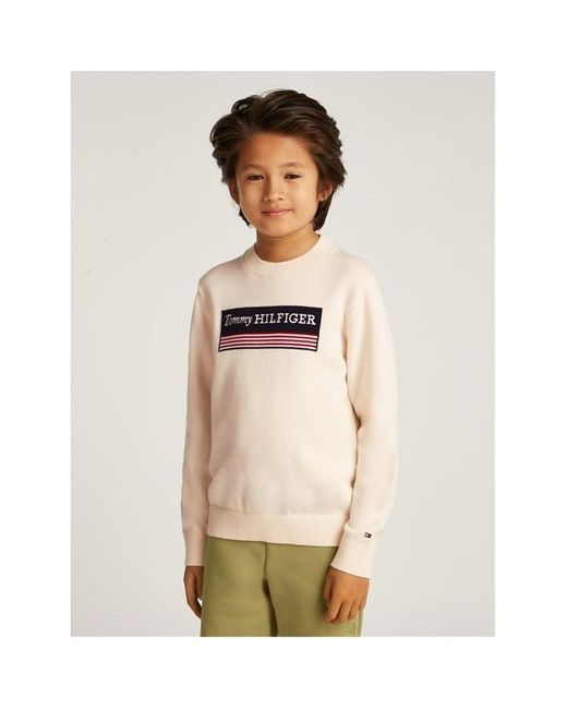 Tommy Hilfiger Natural Monotype 1985 Reg Sweater for men