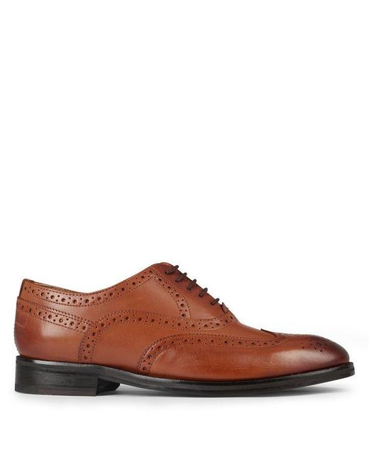 Ted Baker Brown Amaiss Brogue Shoes for men