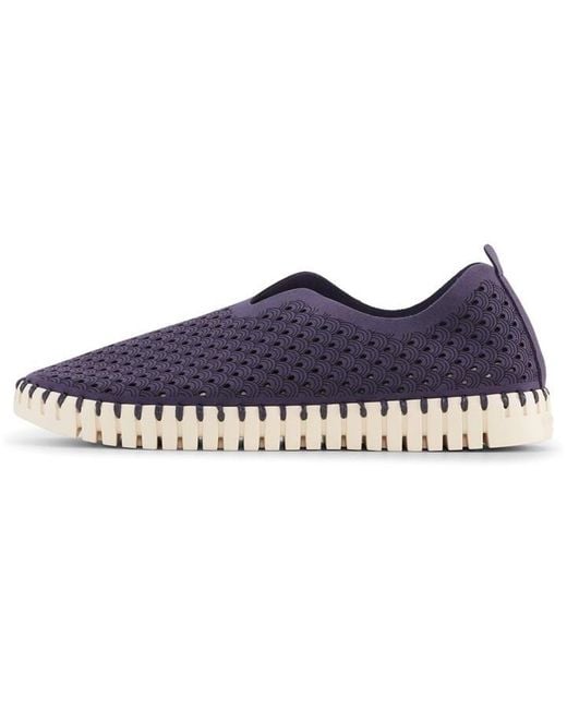 Ilse Jacobsen Blue Tulip Shoe