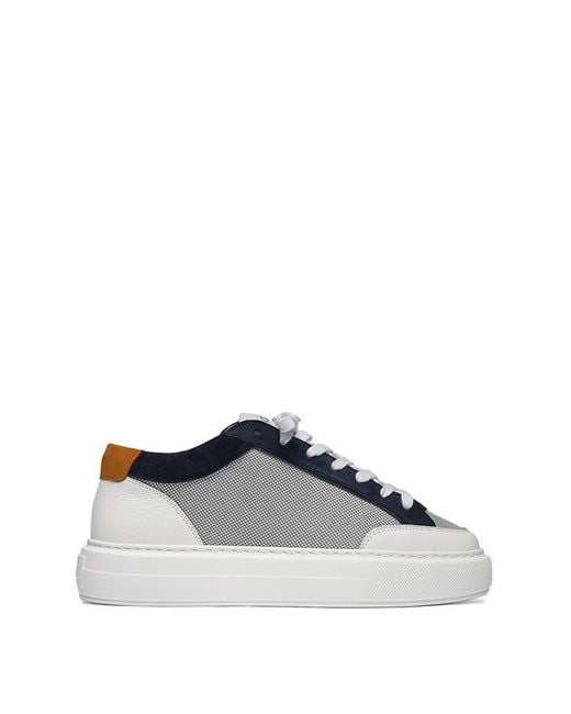 Cleens Blue Minimalist Leather Luxor Trainers for men