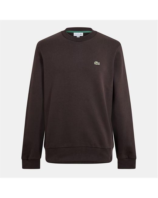 Lacoste Brown Small Logo Crew Sweatshirt for men