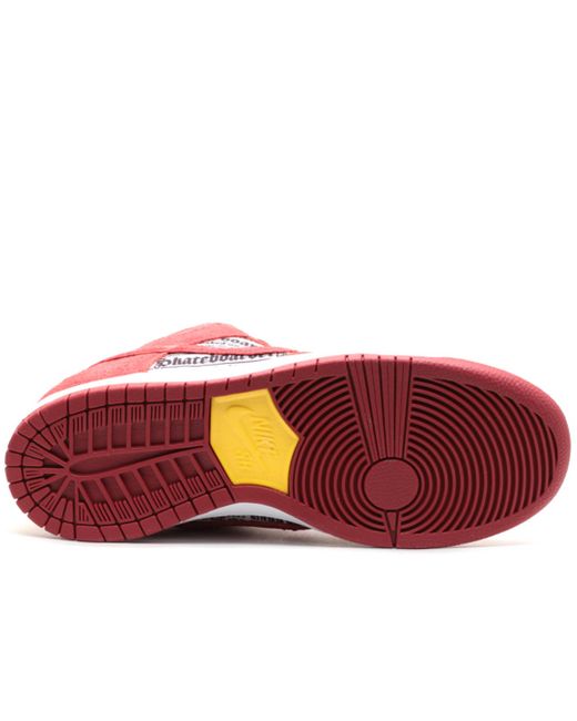crawfish nike sb
