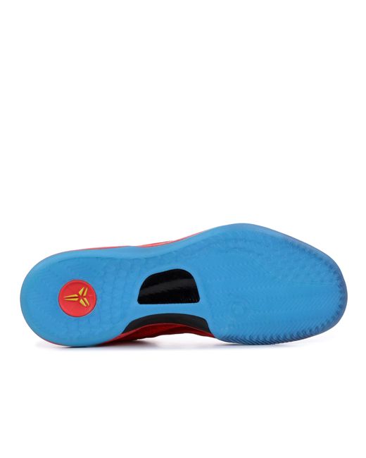 year of the horse kobe 8