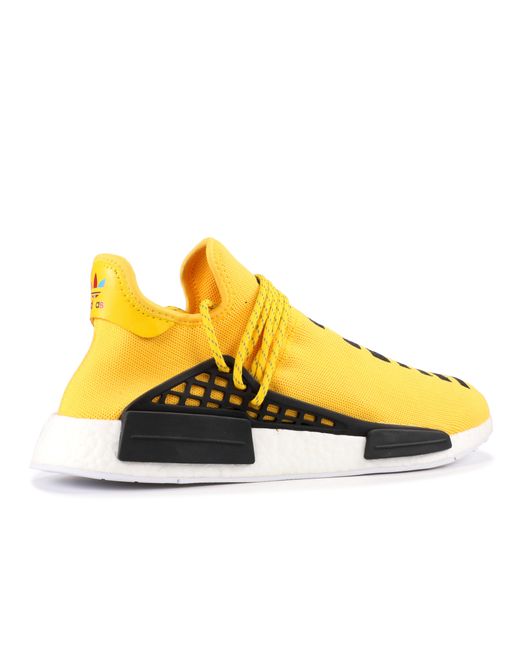 Flight club top human race