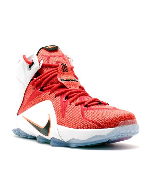 nike lebron 12 heart of a lion