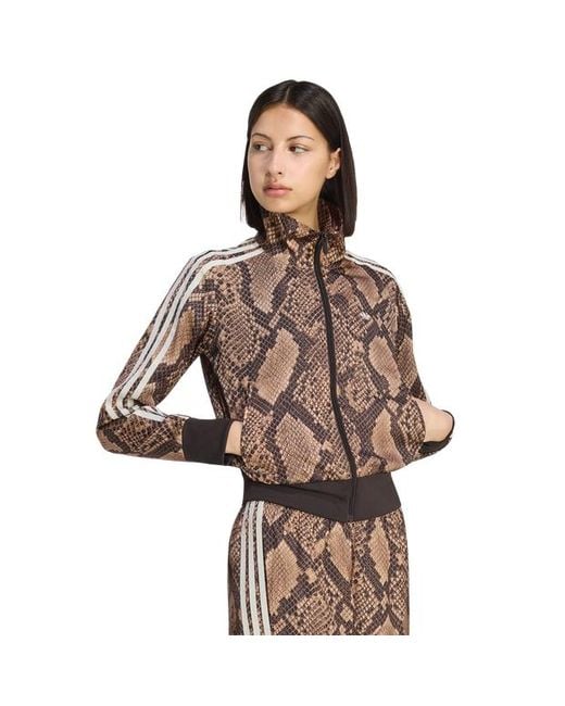 Adidas Brown Firebird Track Tops