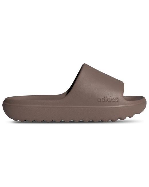 Adidas Brown Adilette Flip-Flops And Sandals for men
